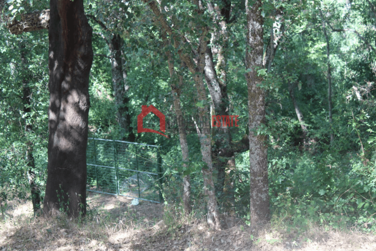 Encantadora finca rústica con chalet en Fuencaliente: Naturaleza, privacidad y confort