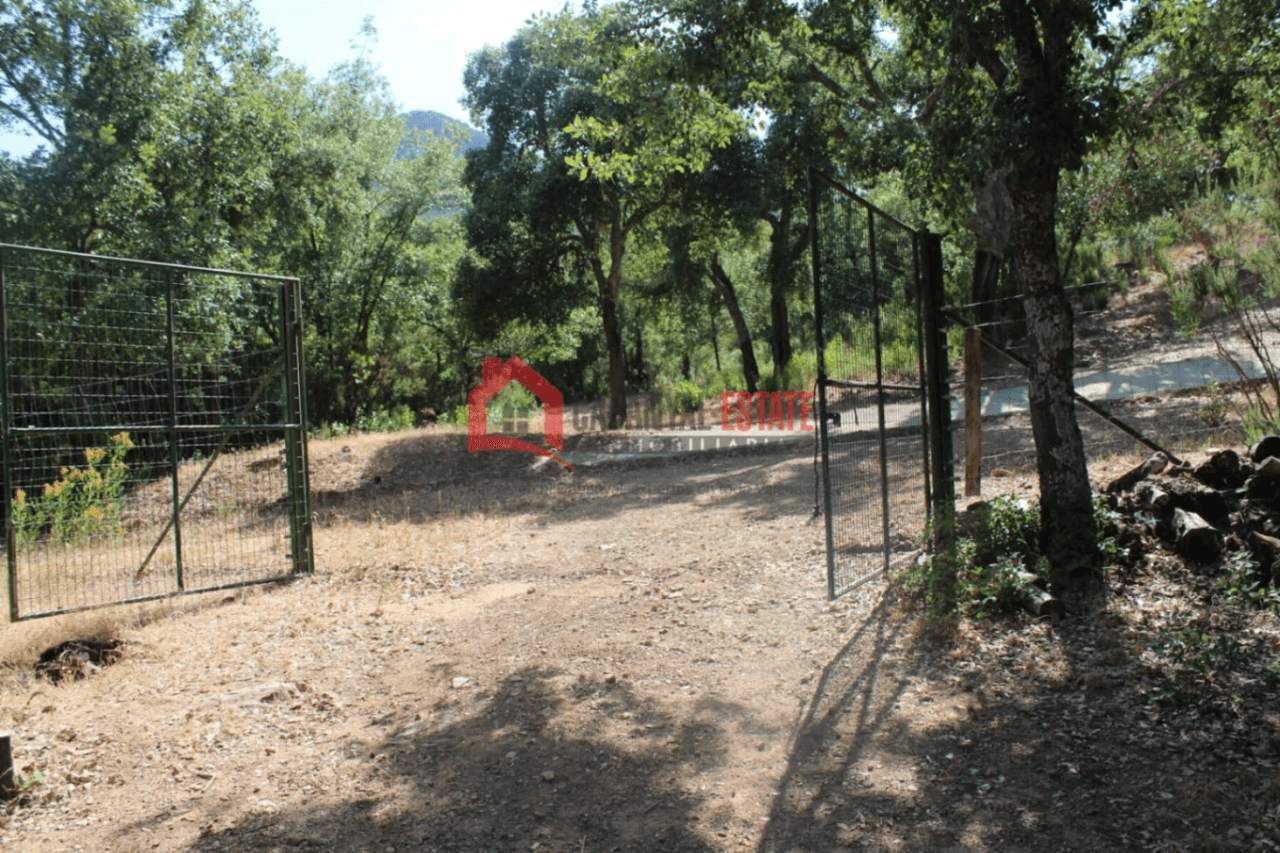 Encantadora finca rústica con chalet en Fuencaliente: Naturaleza, privacidad y confort