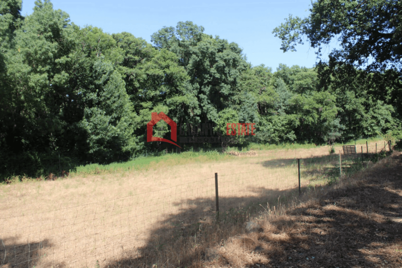 Encantadora finca rústica con chalet en Fuencaliente: Naturaleza, privacidad y confort