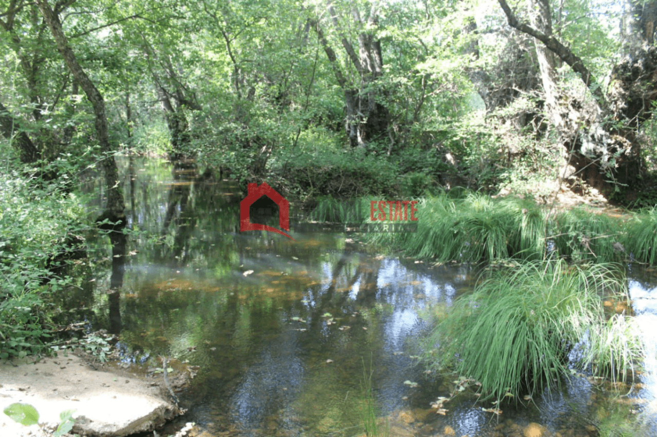 Encantadora finca rústica con chalet en Fuencaliente: Naturaleza, privacidad y confort