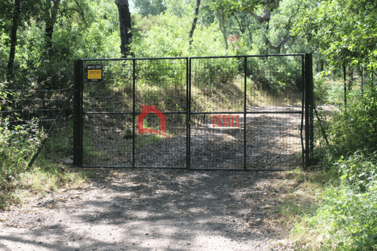Encantadora finca rústica con chalet en Fuencaliente: Naturaleza, privacidad y confort